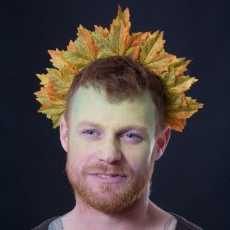 Autumn colours maple leaf crown